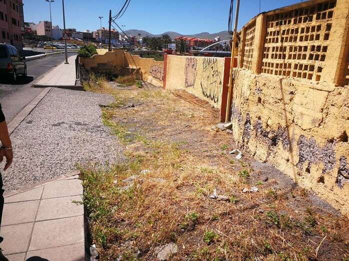 El Cabildo costeará la reposición de los muros (Foto TA)